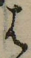位置定マレル𛂦