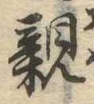 親 위치 확인됨