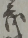 茂 위치 확인됨