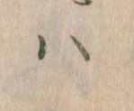 已定位𛂞