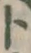 字ト