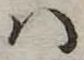 Đã định vị 𛂞