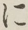 글자 に