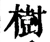 글자 樹