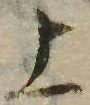 位置 確認된 上