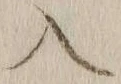 字入