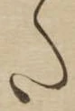 已定位𛁠