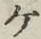 「ケ」字