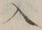 字入