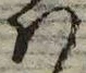𛂞の位置