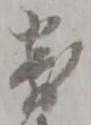 寄 위치 확인됨