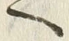 「へ」字