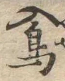 鳰 위치 확인됨