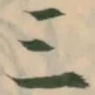 𡨸三