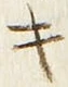 字キ