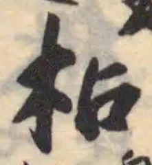 枮の位置