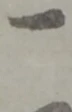 俵 위치 확인됨