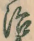 글자 治