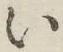글자 い