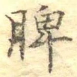脾 위치 확인됨