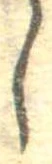 𛁅 위치 확인됨