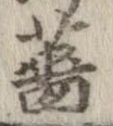 Đã định vị 薔