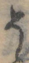 位置定マレル𛁚