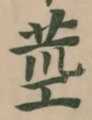 莖の位置