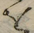 𛄜 위치 확인됨