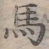 馬 위치 확인됨