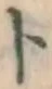 字ト