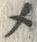 “メ”字