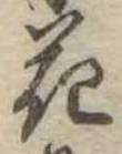 花 위치 확인됨