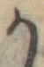 位置定マレル𛀚
