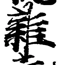 雑の位置