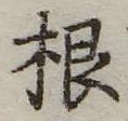 根の位置