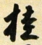 글자 桂