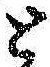 文字 と