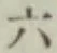 文字六