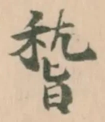稽の位置