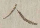 字人