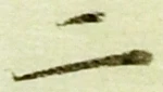 글자 二
