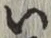 文字 い
