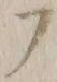字フ
