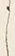 文字し