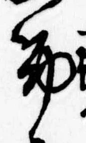 筋 위치 확인됨