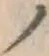 字ノ
