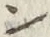 “ン”字