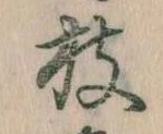 位置定マレル枝