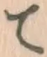 글자 て